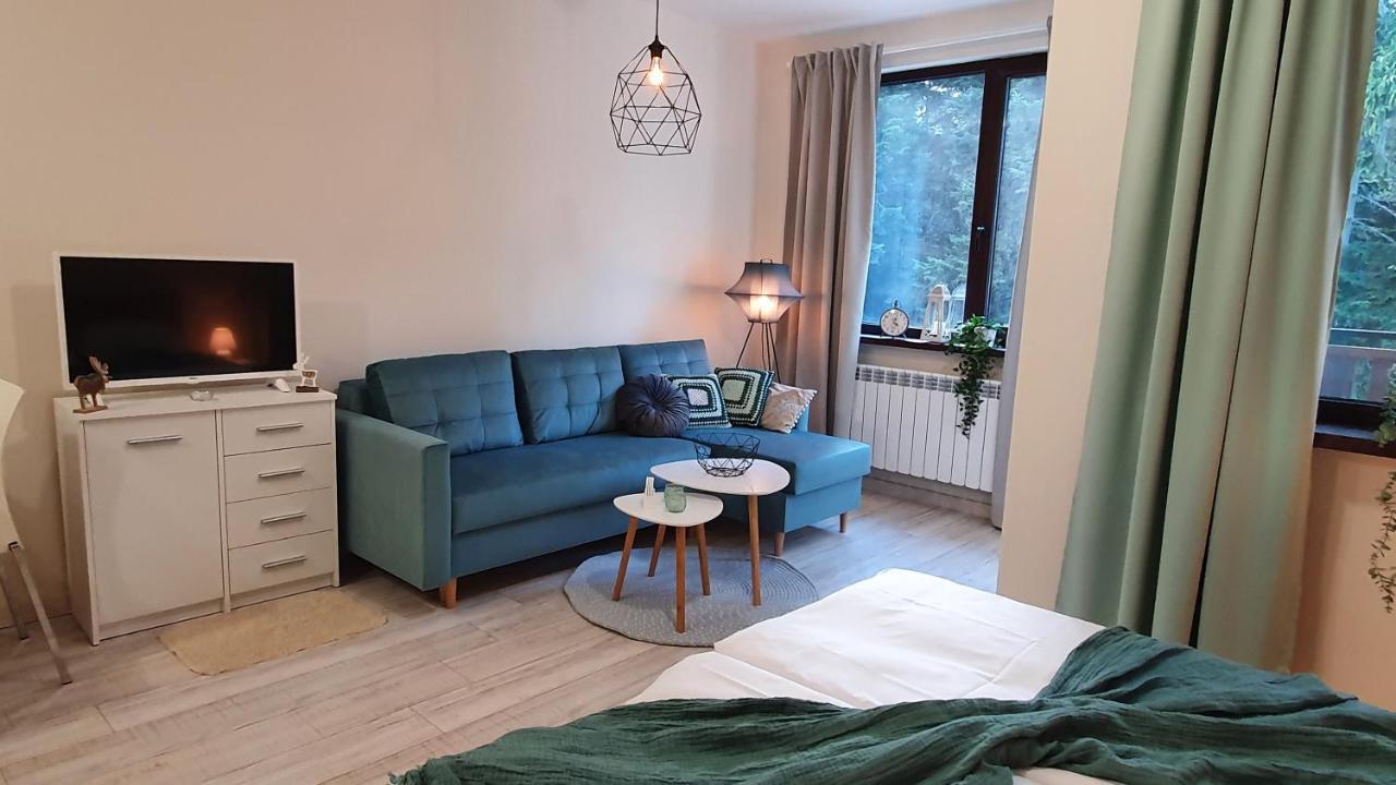 Borovets Holiday Homes Экстерьер фото